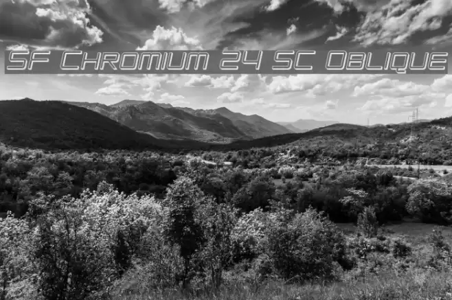 SF Chromium 24 SC Oblique Font examples