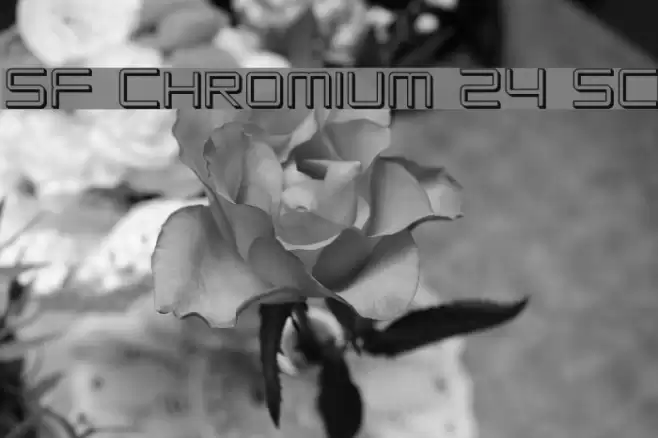 SF Chromium 24 SC フォント examples
