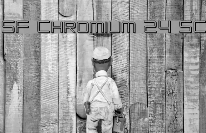SF Chromium 24 SC フォント examples