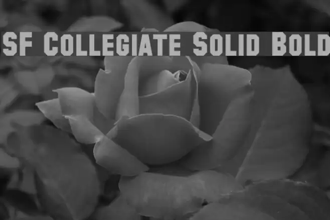 SF Collegiate Solid Bold Font examples