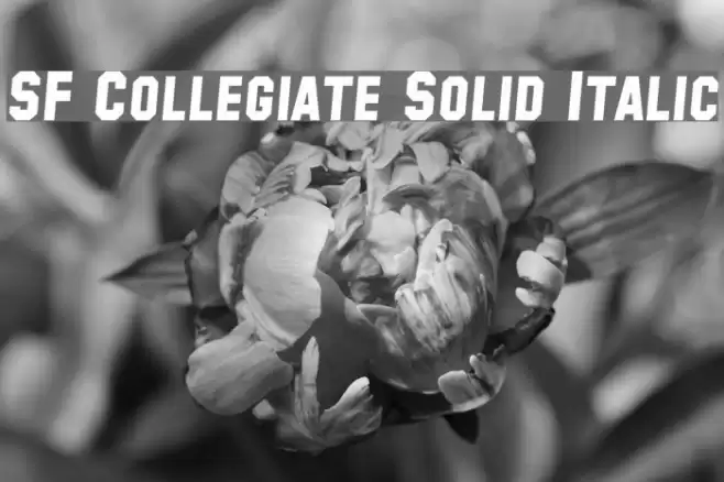 SF Collegiate Solid Italic Font examples