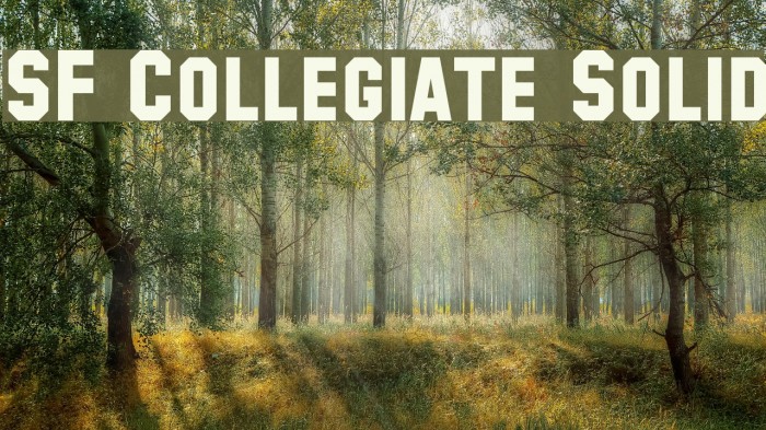 SF Collegiate Solid Font examples