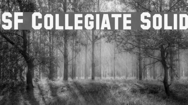 SF Collegiate Solid خط examples