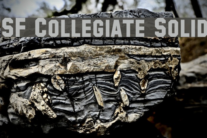 SF Collegiate Solid Font examples