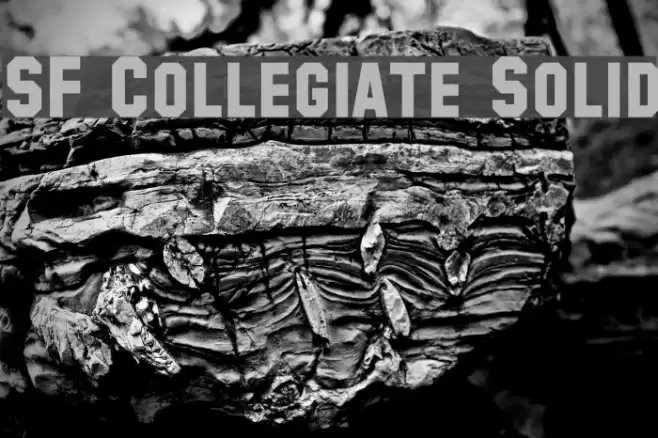 SF Collegiate Solid خط examples