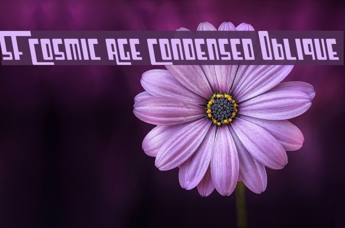 SF Cosmic Age Condensed Oblique Font examples