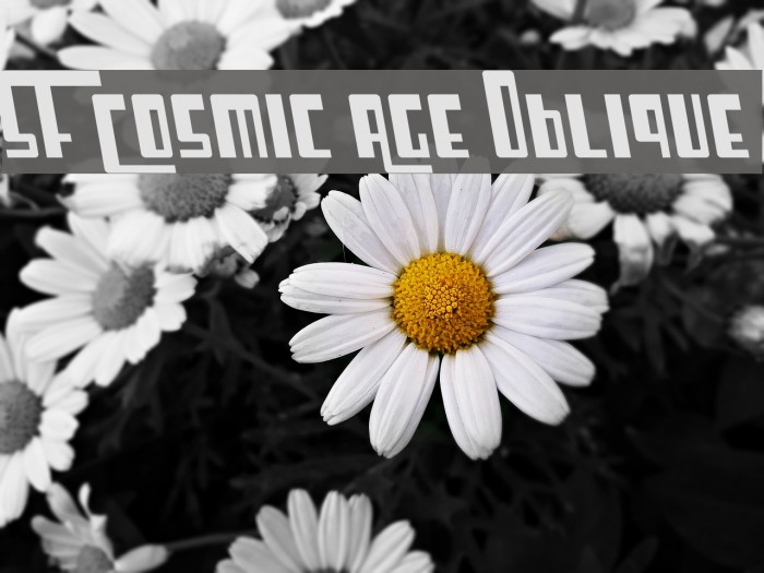 SF Cosmic Age Oblique Font examples