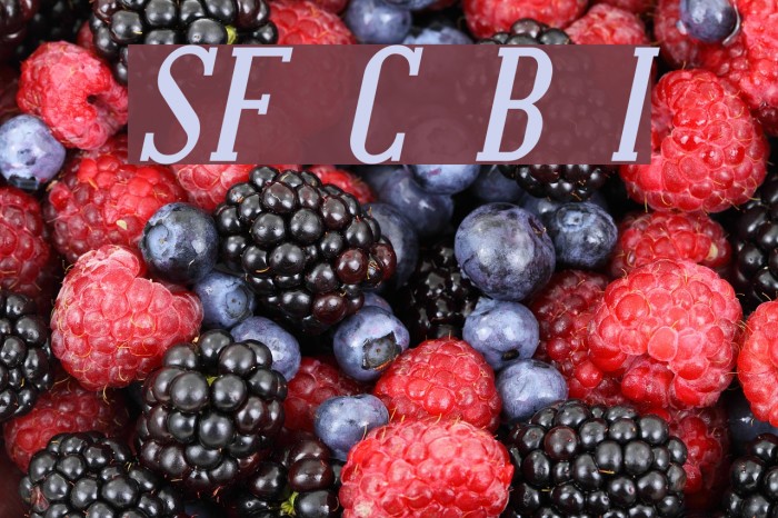 SF Covington Bold Italic Font examples