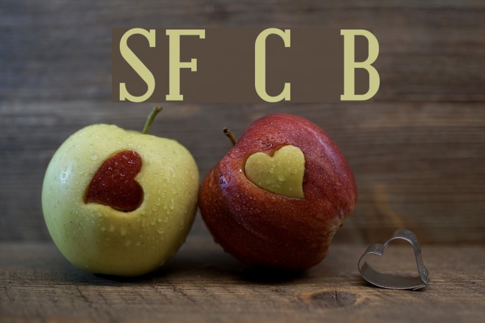 SF Covington Bold Font examples