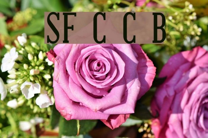 SF Covington Cond Bold Example 2