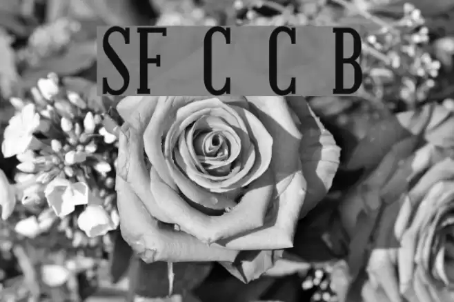 SF Covington Cond Bold Font examples