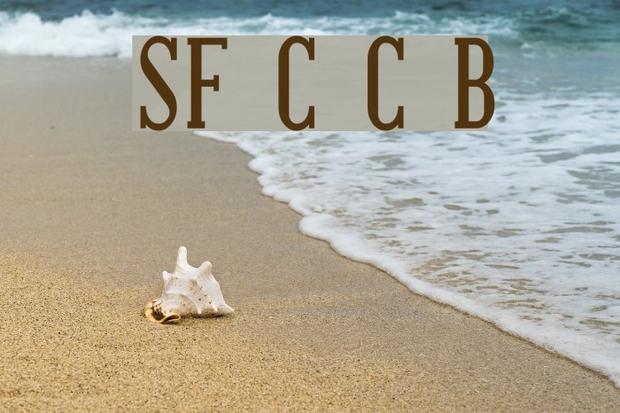 SF Covington Cond Bold Example 3