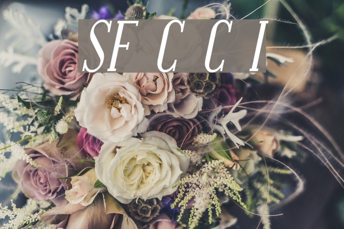 SF Covington Cond Italic Font examples