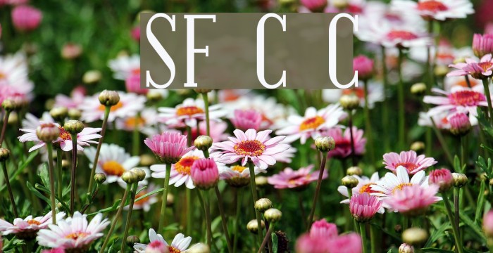 SF Covington Cond Font examples