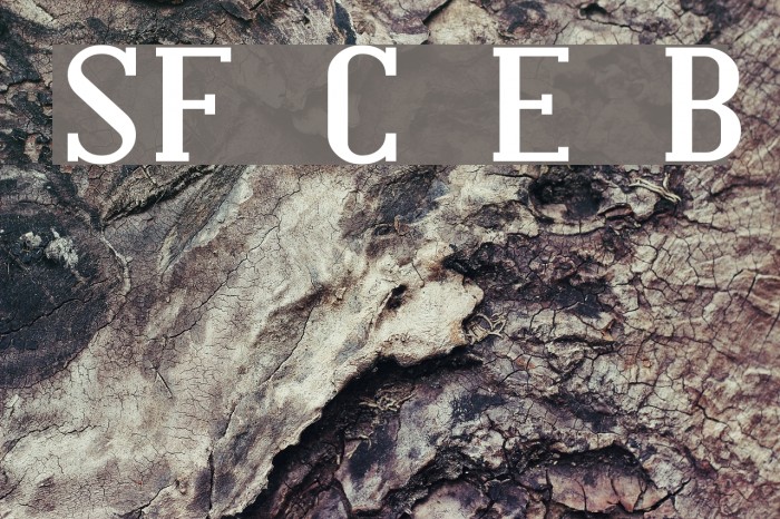 SF Covington Exp Bold Font examples