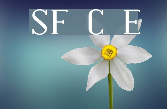 SF Covington Exp Font examples