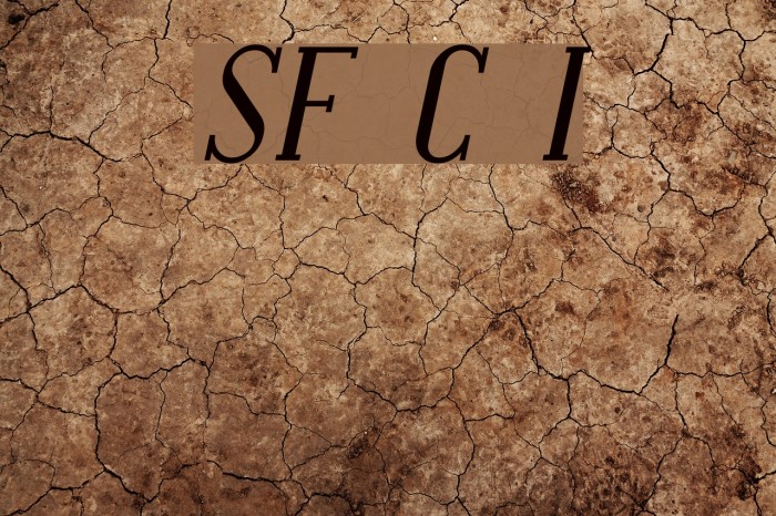 SF Covington Italic Font examples