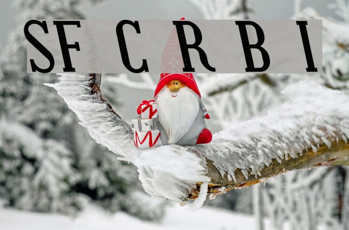 SF Covington Rev Bold Italic Example 3