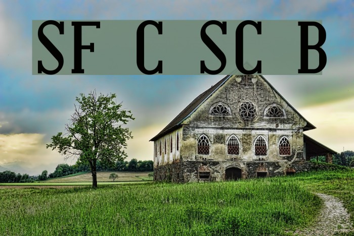 SF Covington SC Bold Font examples