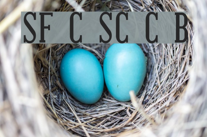 SF Covington SC Cond Bold Font examples