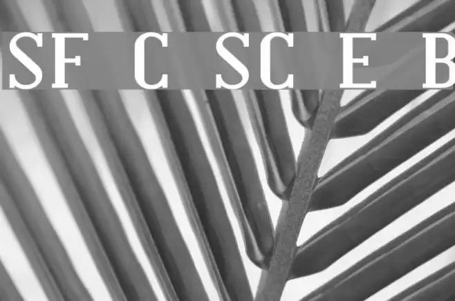 SF Covington SC Exp Bold Font examples