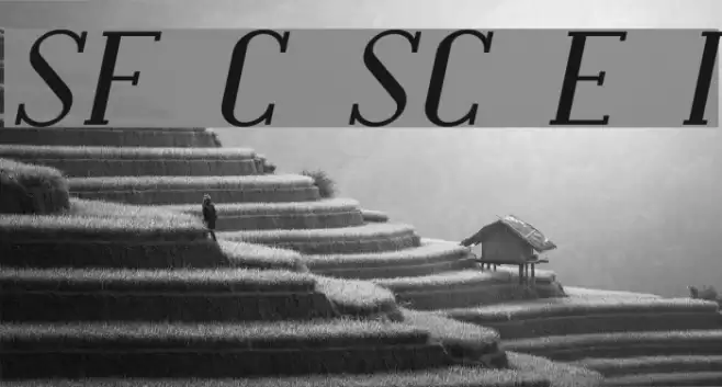 SF Covington SC Exp Italic Font examples