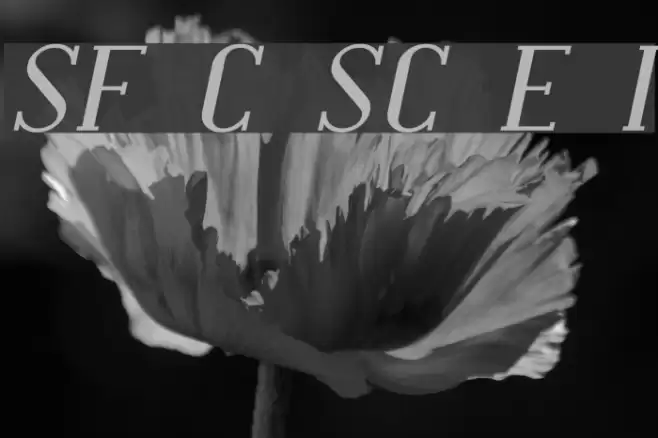 SF Covington SC Exp Italic Font examples