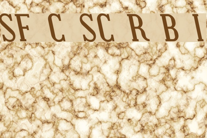 SF Covington SC Rev Bold Italic Example 1