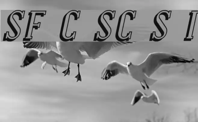 SF Covington SC Shadow Italic Font examples