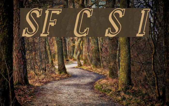 SF Covington Shadow Italic Font examples