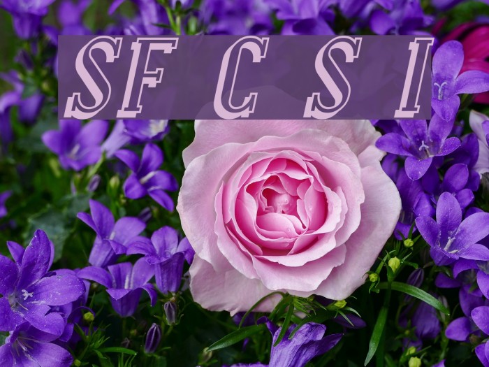 SF Covington Shadow Italic Font examples