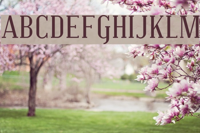 SF Covington Font examples