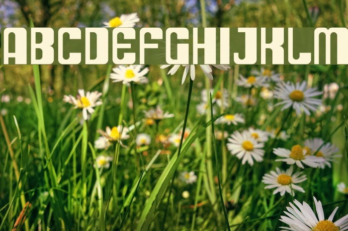 SF DecoTechno Font examples