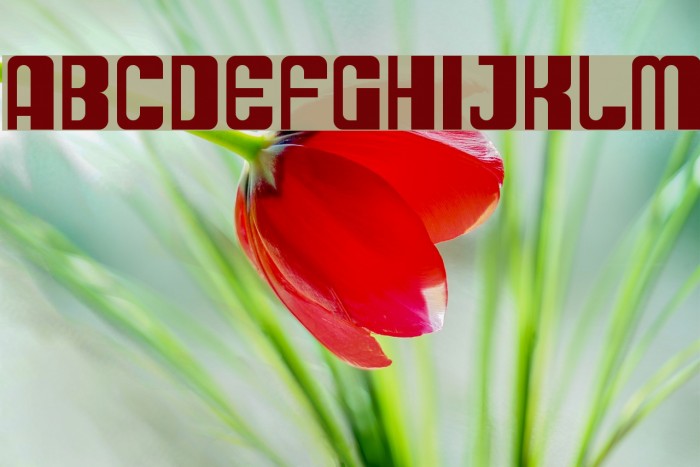 SF DecoTechno Font examples