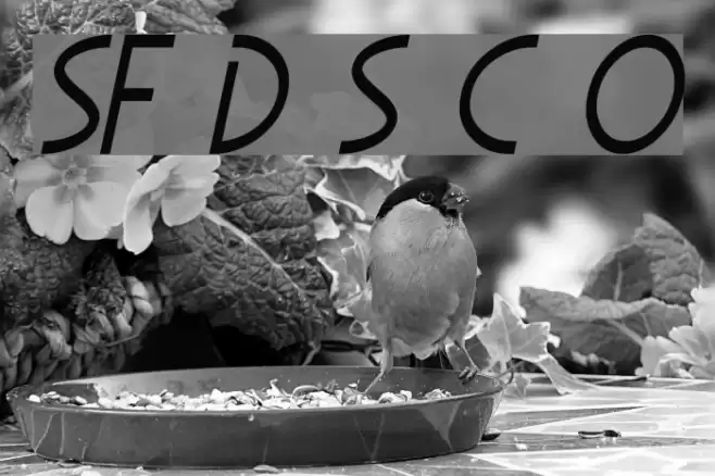 SF Diego Sans Condensed Oblique Шрифта examples