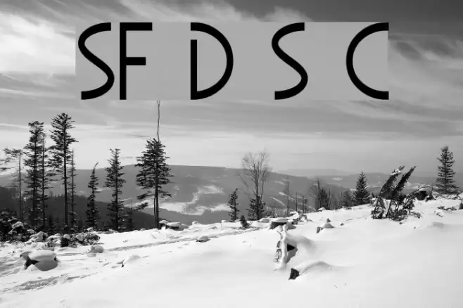 SF Diego Sans Condensed Font examples