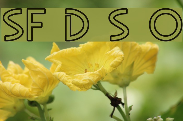 SF Diego Sans Outline Font examples