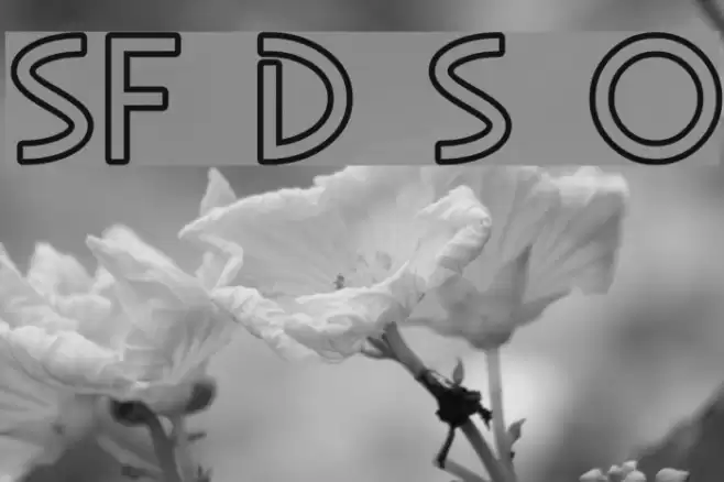 SF Diego Sans Outline Fonte examples