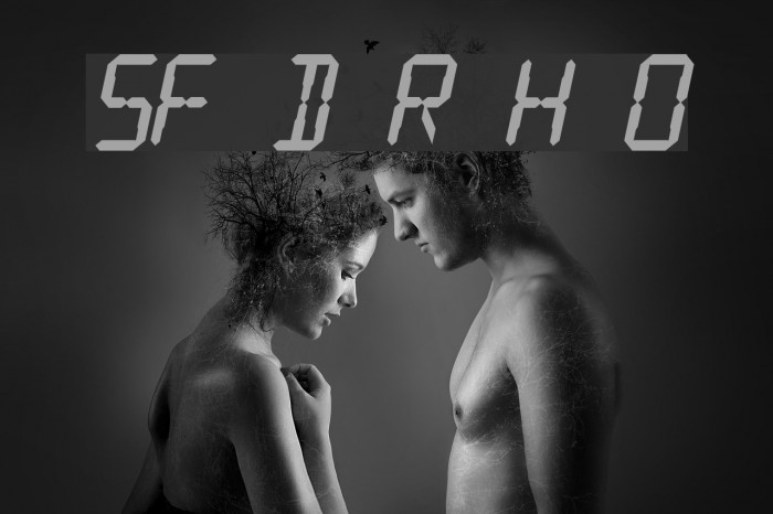SF Digital Readout Heavy Oblique Font examples