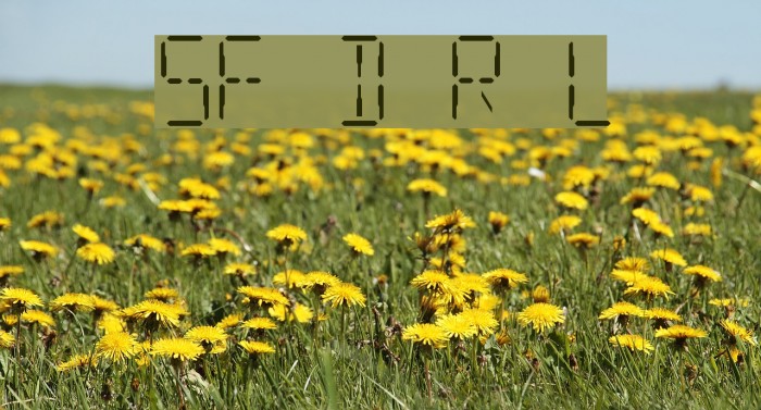SF Digital Readout Light Font examples