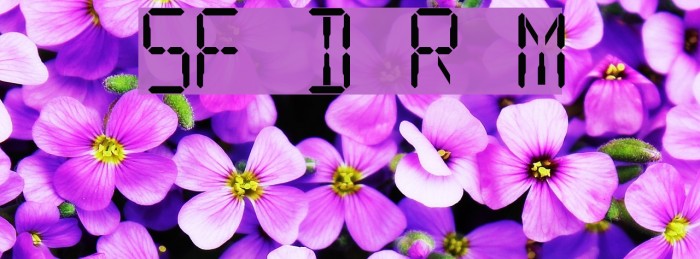 SF Digital Readout Medium Font examples