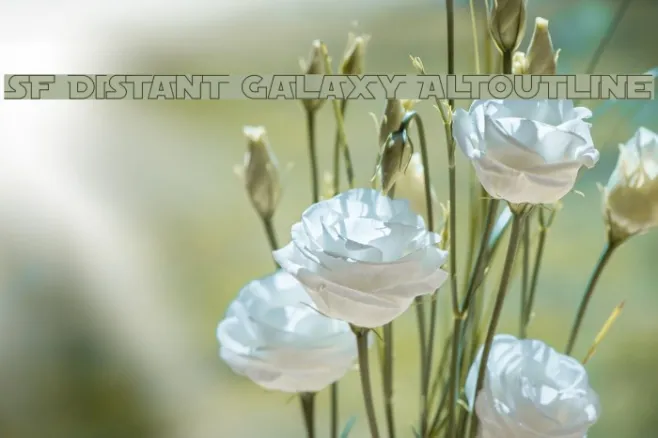 SF Distant Galaxy AltOutline Example 3