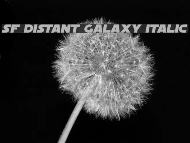 SF Distant Galaxy Italic Font examples