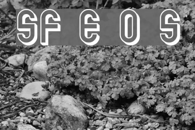 SF Eccentric Opus Shaded フォント examples