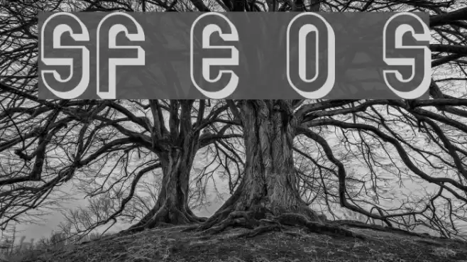 SF Eccentric Opus Shaded フォント examples