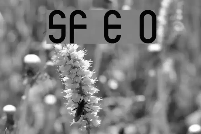 SF Eccentric Opus Шрифта examples