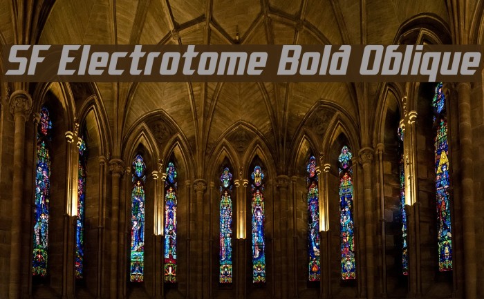 SF Electrotome Bold Oblique Font examples