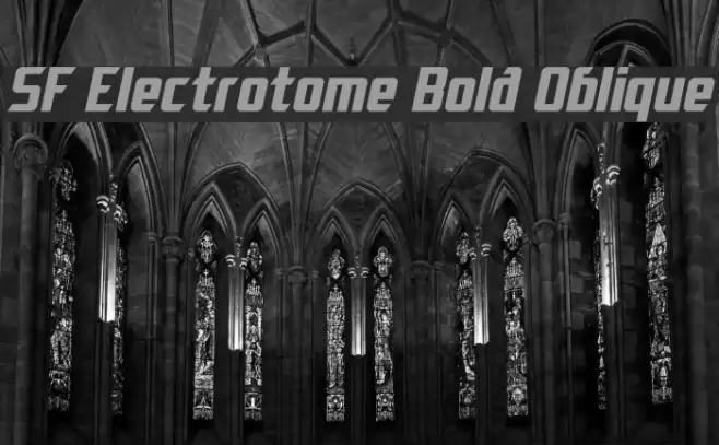 SF Electrotome Bold Oblique フォント examples