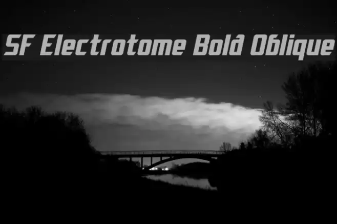 SF Electrotome Bold Oblique フォント examples