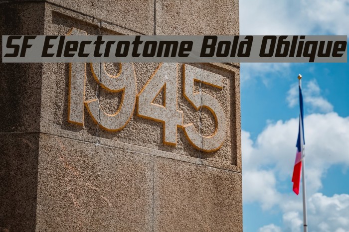 SF Electrotome Bold Oblique Font examples